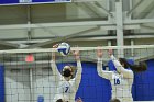 VB vs ENC  Wheaton College Women's Volleyball vs Eastern Nazarene College. - Photo By: KEITH NORDSTROM : Wheaton, volleyball, VB, Eastern Nazarene College